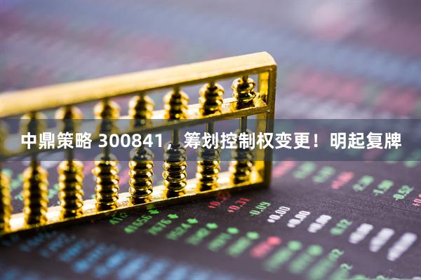 中鼎策略 300841，筹划控制权变更！明起复牌