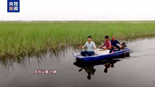 恒力配资 沙漠里也能养海鲜、种水稻？看新疆如何“点沙成金”