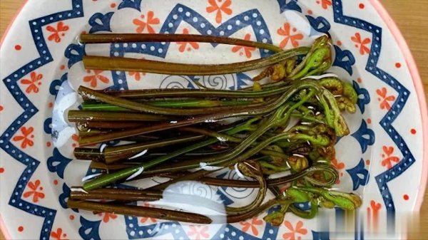 宏源证券 这菜大量上市，再贵也要吃！通便排毒杀菌，多吃少生病